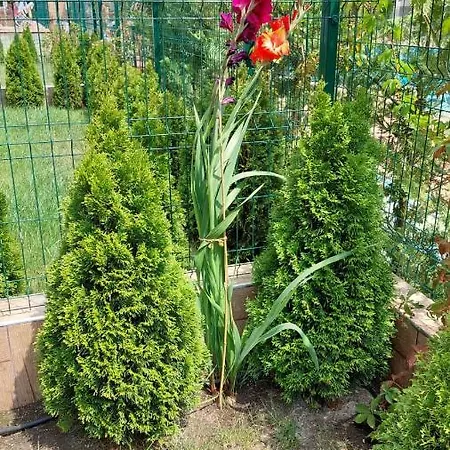 Apartmán Sunrise A4, Sarafovo